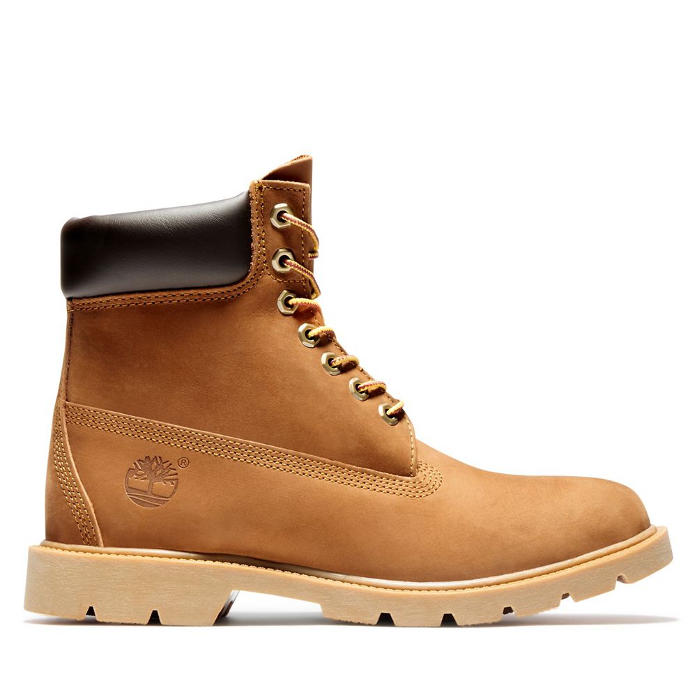 Botas de Nieve Timberland Hombre 6-Inch Basic Waterproof W/Padded Collar Marrones - Chile DZU-261308